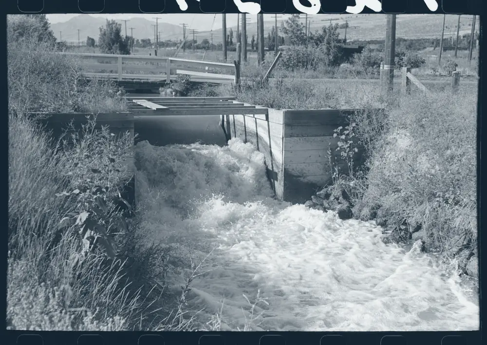 Irrigation water surging through a wooden farm check structure into a field ditch, 1940.