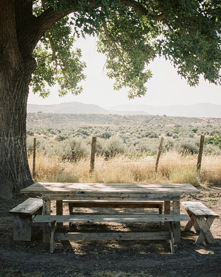 A long plank table and benches standing empty under an old cottonwood, sagebrush country beyond the fence line.