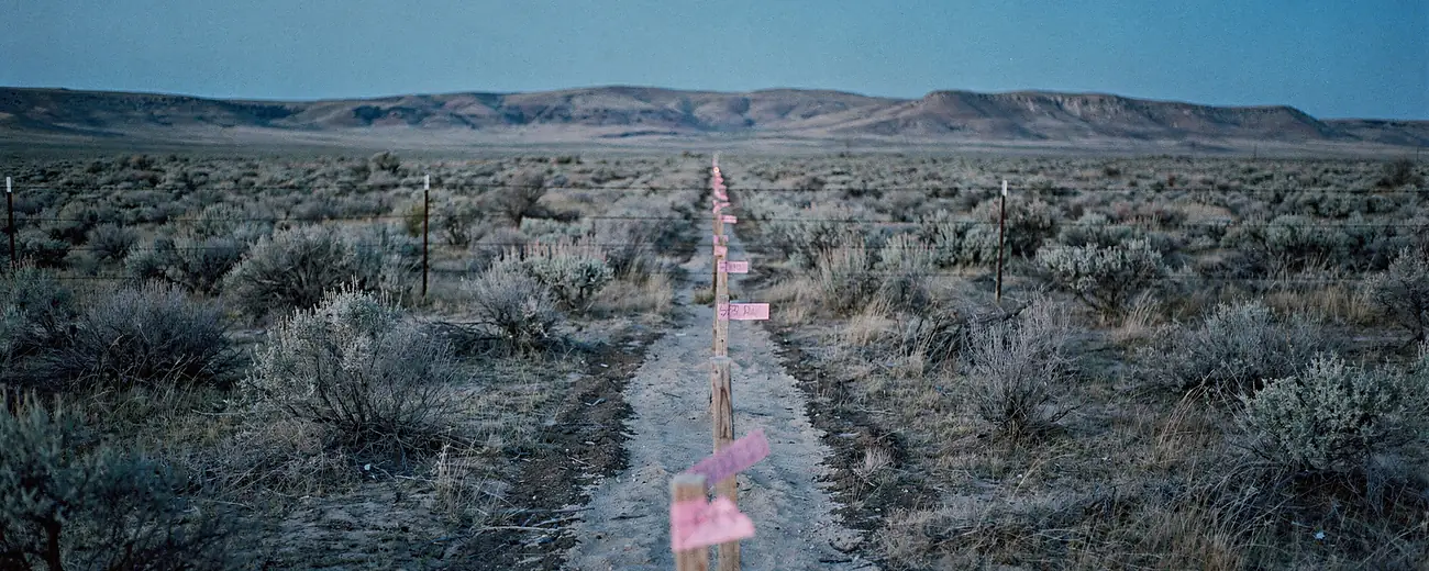 Survey stakes and flagging running a staked alignment across sagebrush at dusk, nothing built along it.